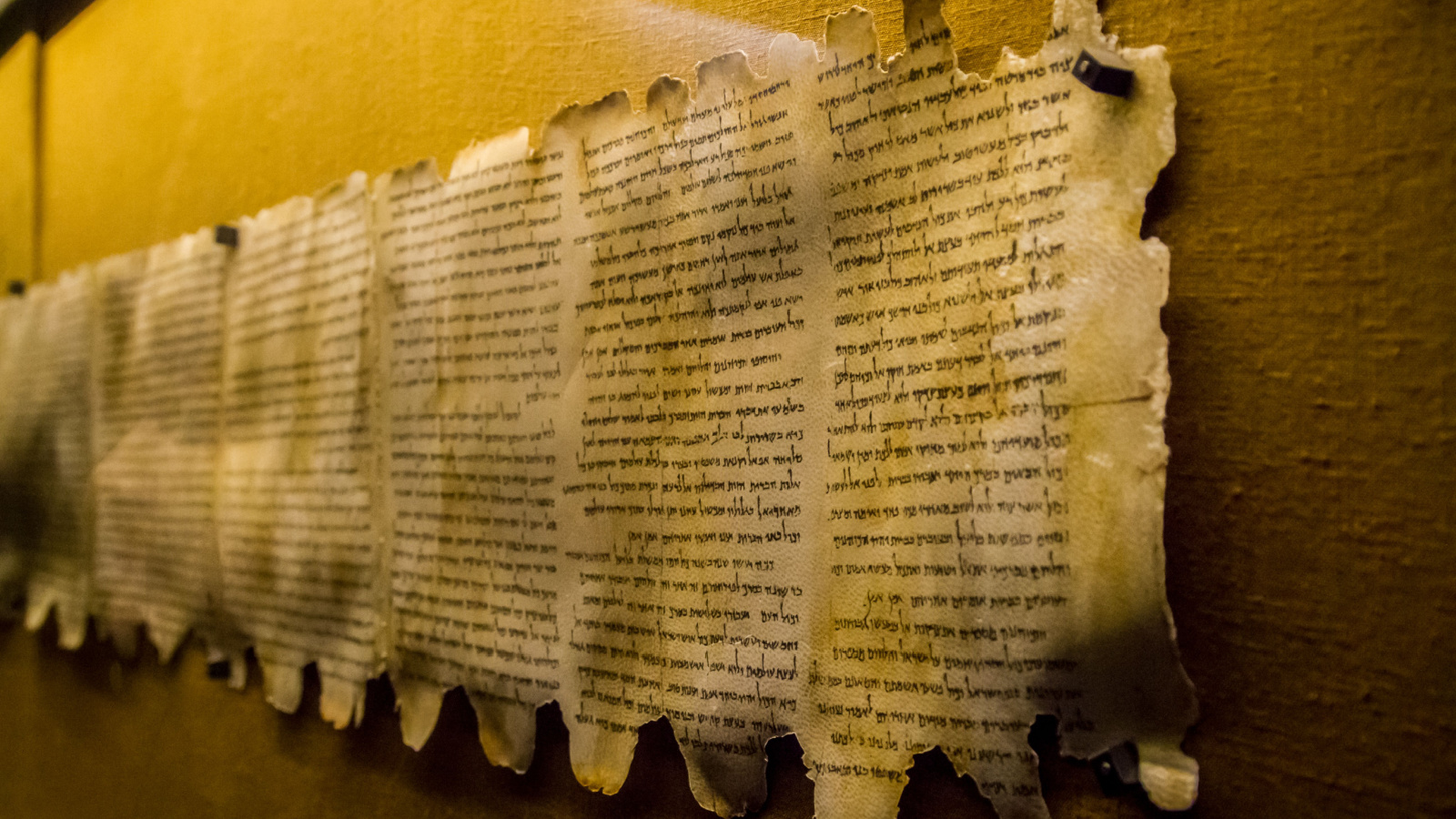The Most Mysterious Manuscripts Ever Discovered